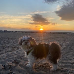 Meet your Posher, Sharon